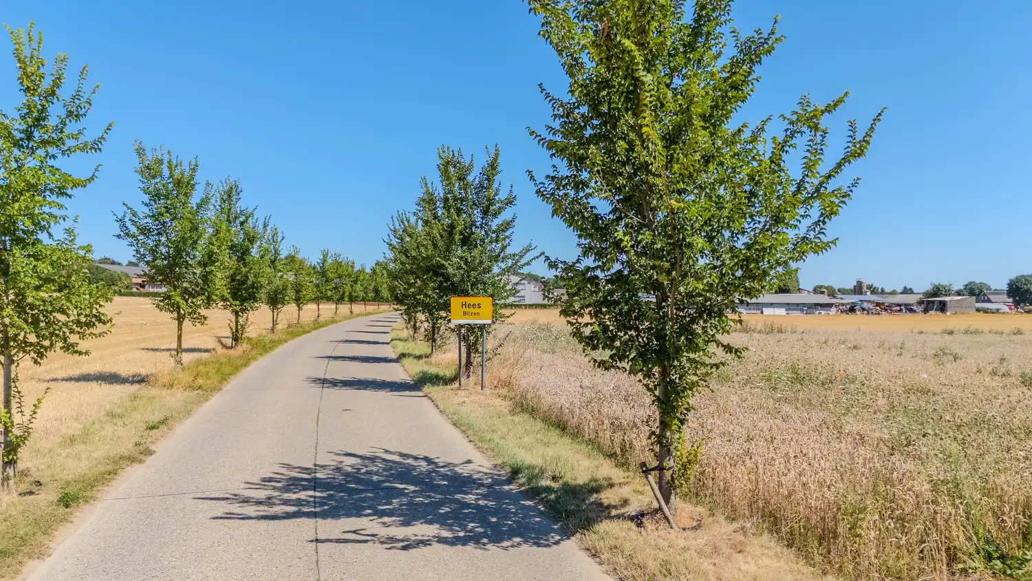 2 bouwgronden voor vrijstaand wonen in het landelijke Hees, gezellige deelgemeente van Bilzen-Hoeselt én vlakbij Maastricht! foto {{pictureIndex}}