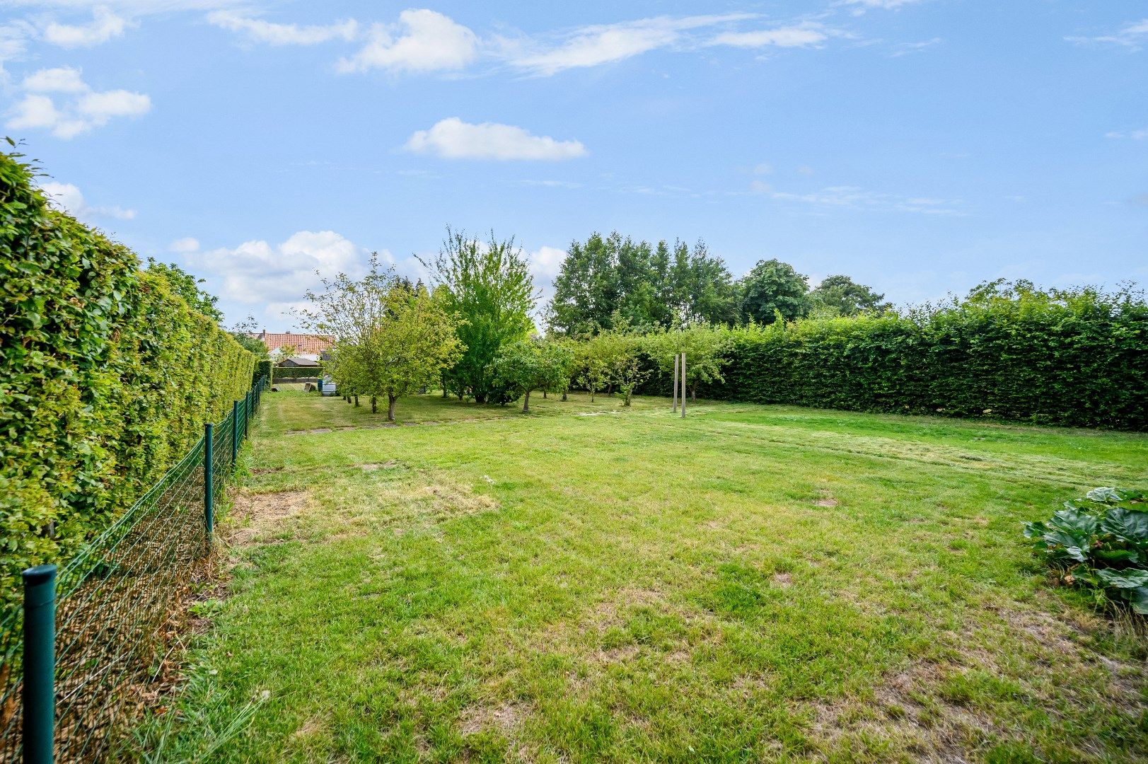 Te renoveren villa met idyllisch zicht op akker en boomgaard met INSTELPRIJS foto 15