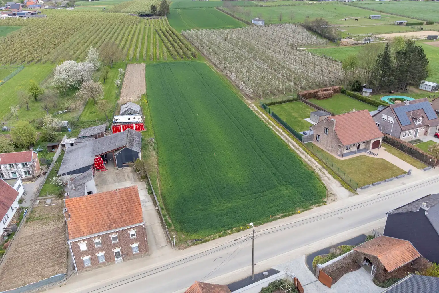 MOOI GELEGEN BOUWGRONDEN IN GLABBEEK  (LOT1) foto 3