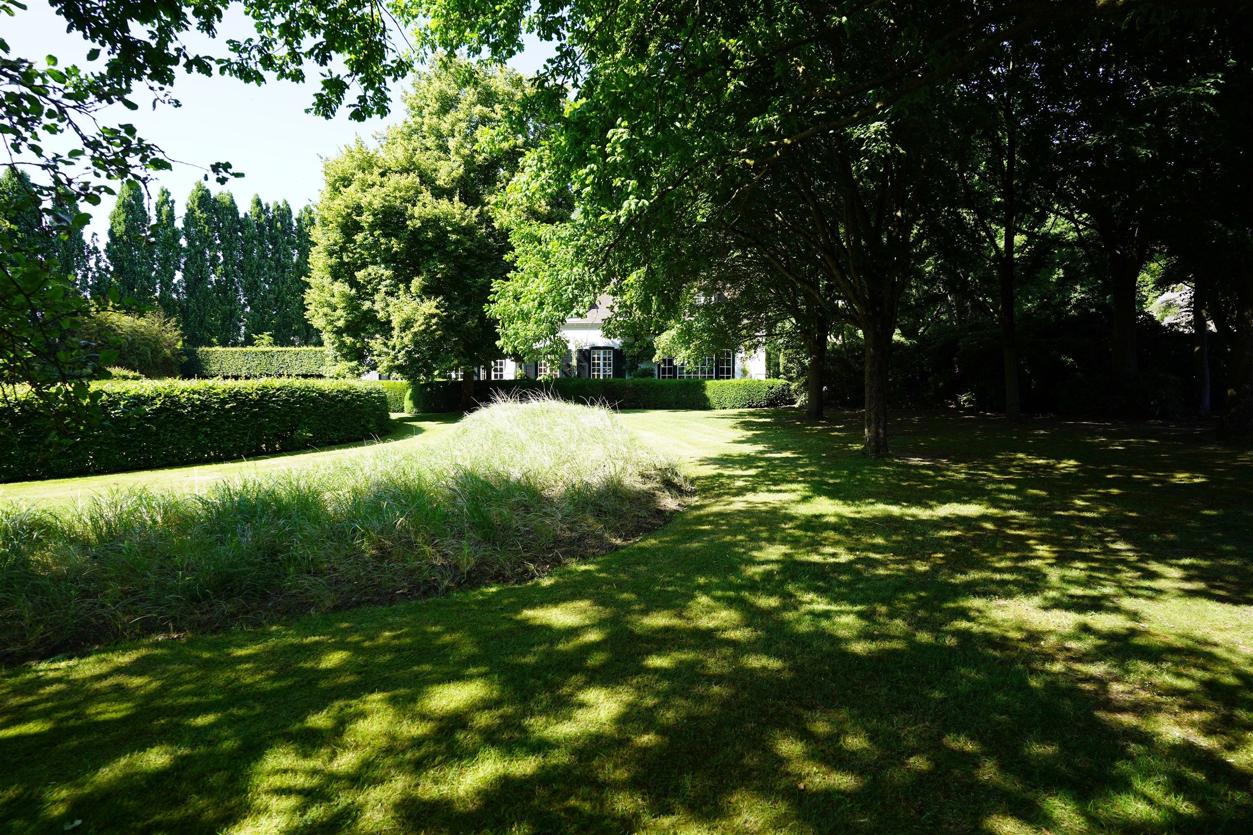 Bellegem bos: uitzonderlijk, waardevol landgoed! foto 3