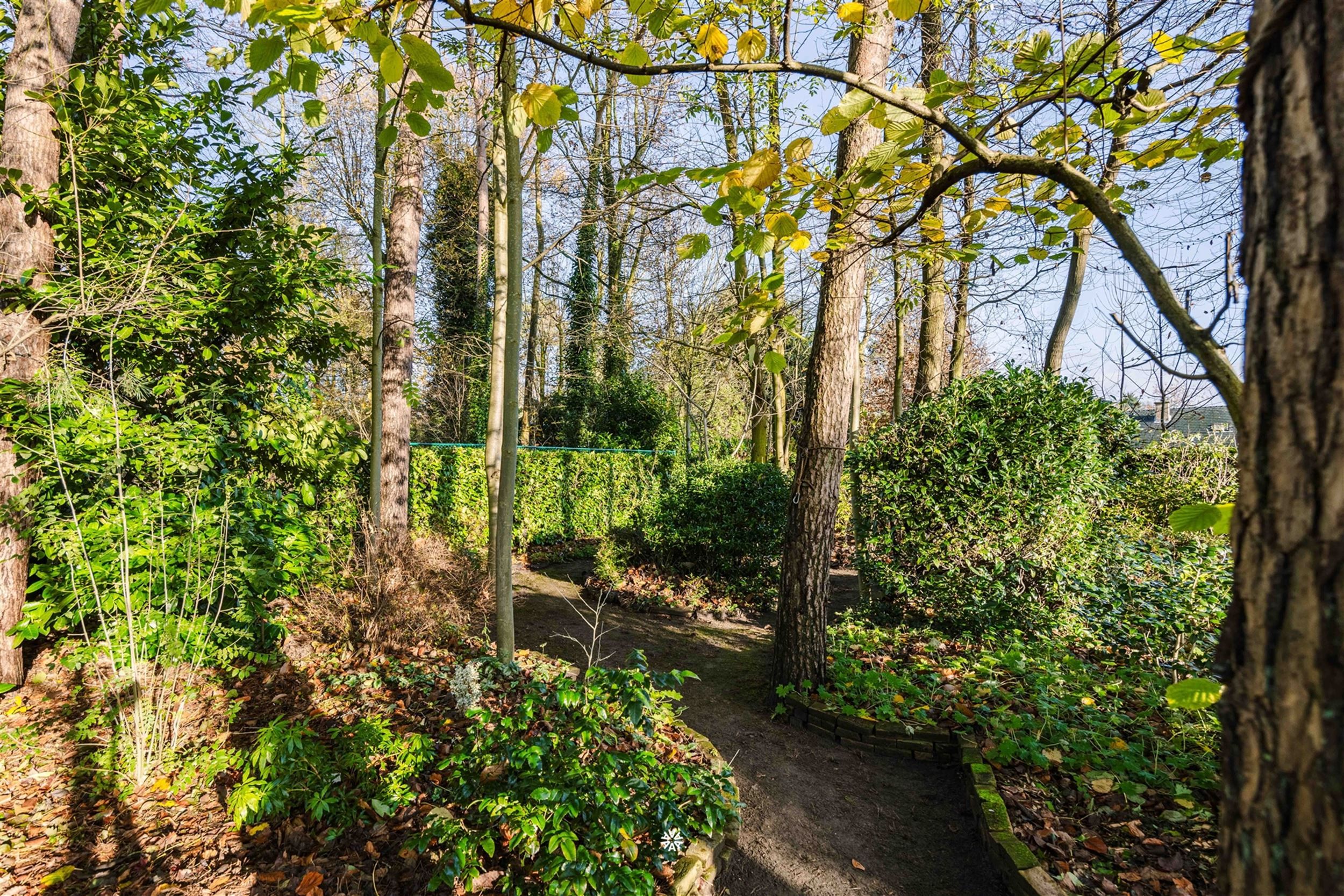 Prachtig gelegen woning op de Heide van Waasmunster foto 27