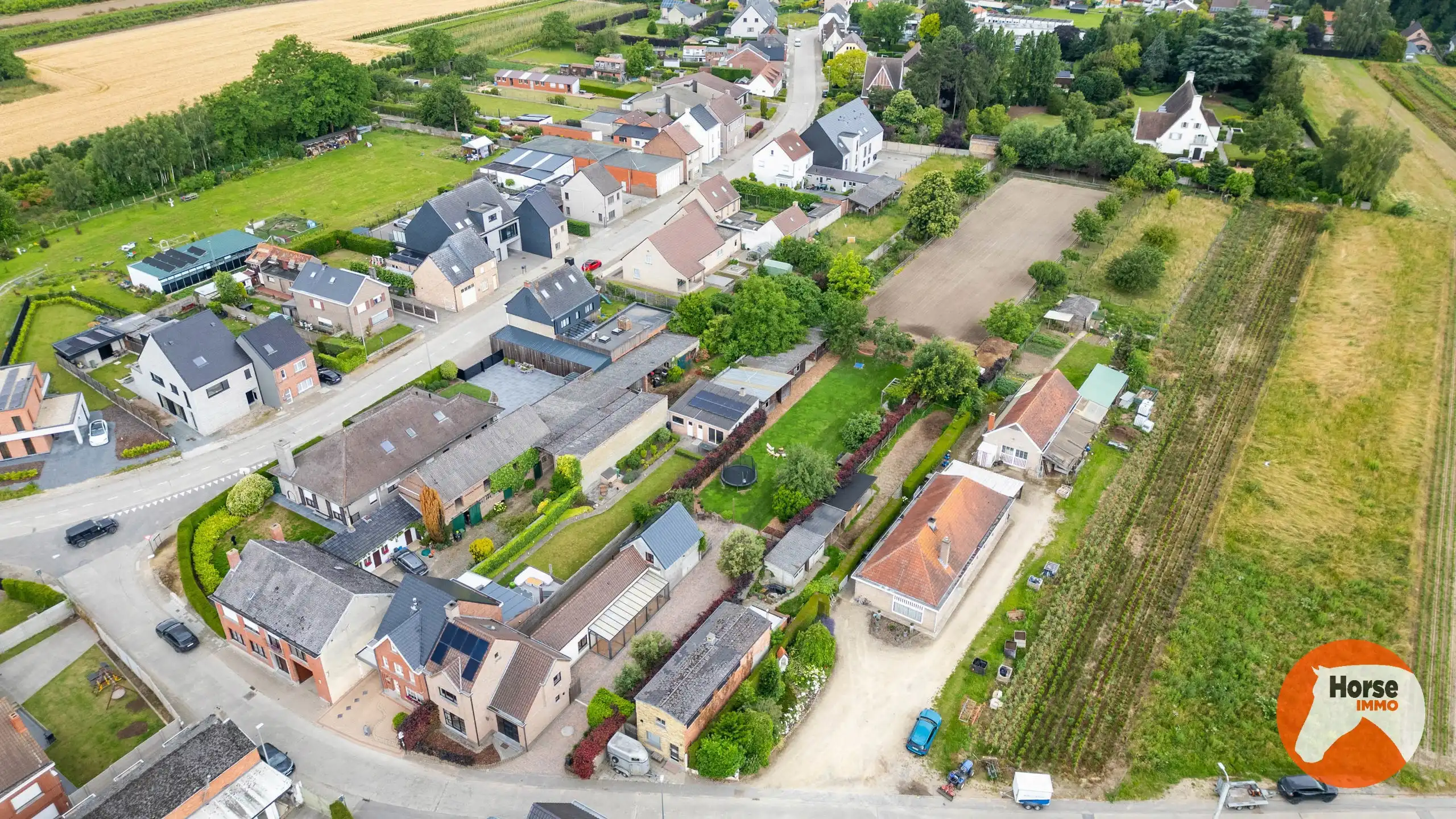 LEDE - Instapklare woning met stallen op 41are foto 2