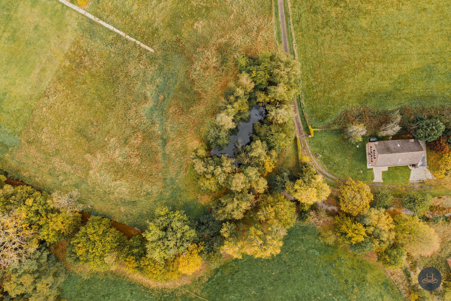 Groen, rustig gelegen woning op 1.71 ha tussen de weilanden foto 11