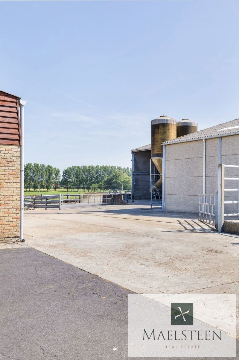 Boerderij met 7,8ha op de flank van Oedelem-berg  foto 41