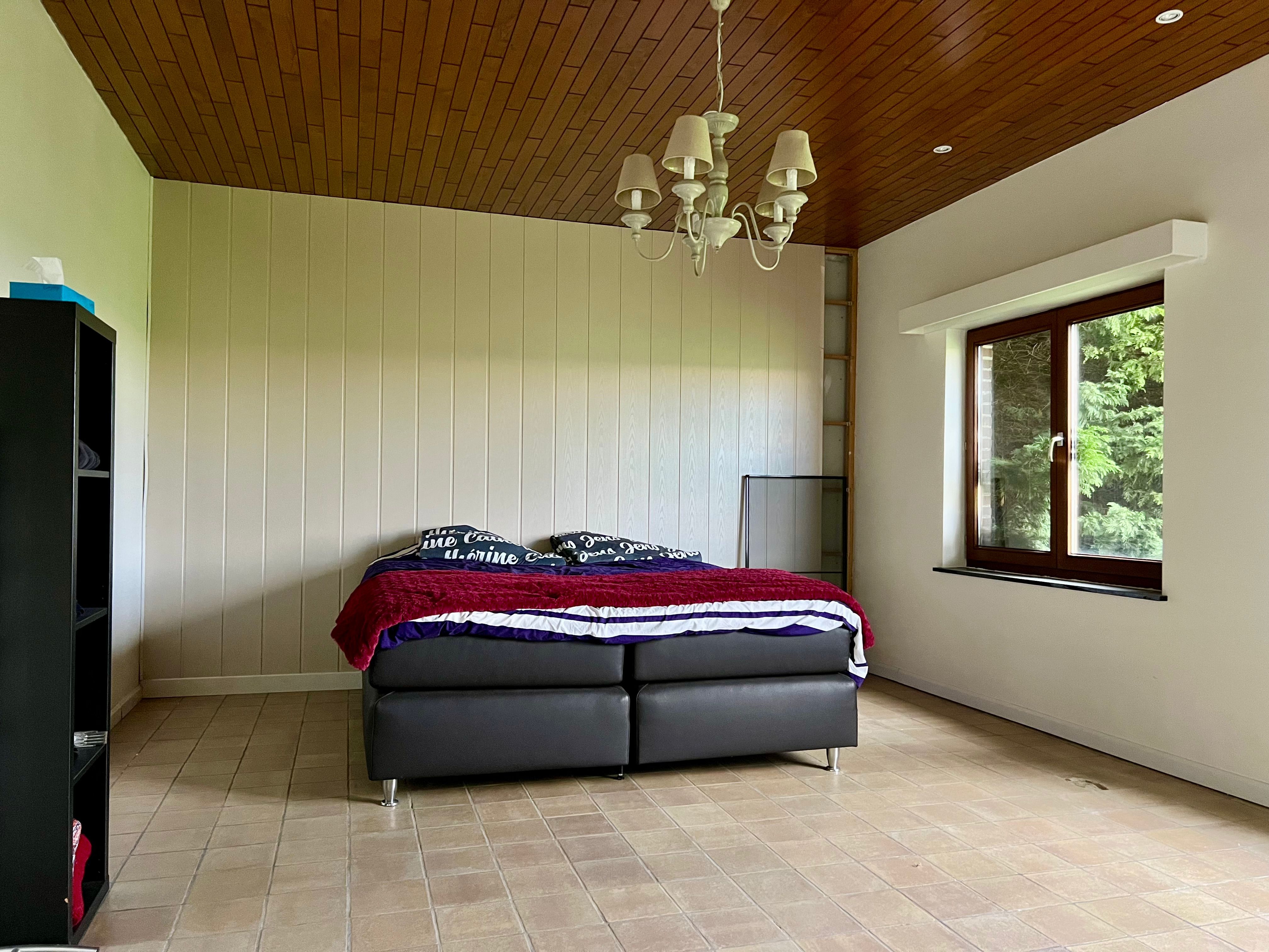 Te renoveren dijkwoning met fenomenaal zicht te Watervliet foto 5