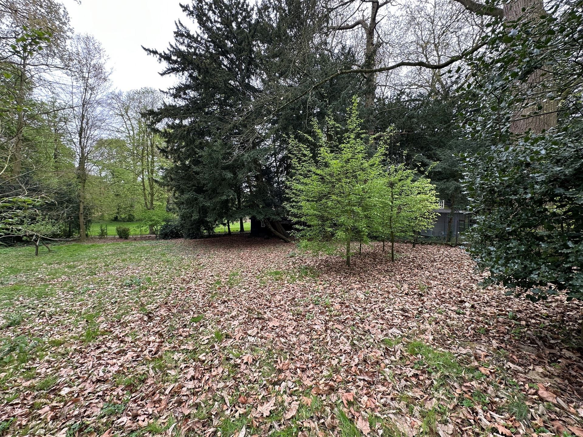 Karaktervolle villa op royaal perceel te Wortegem-Petegem foto 7