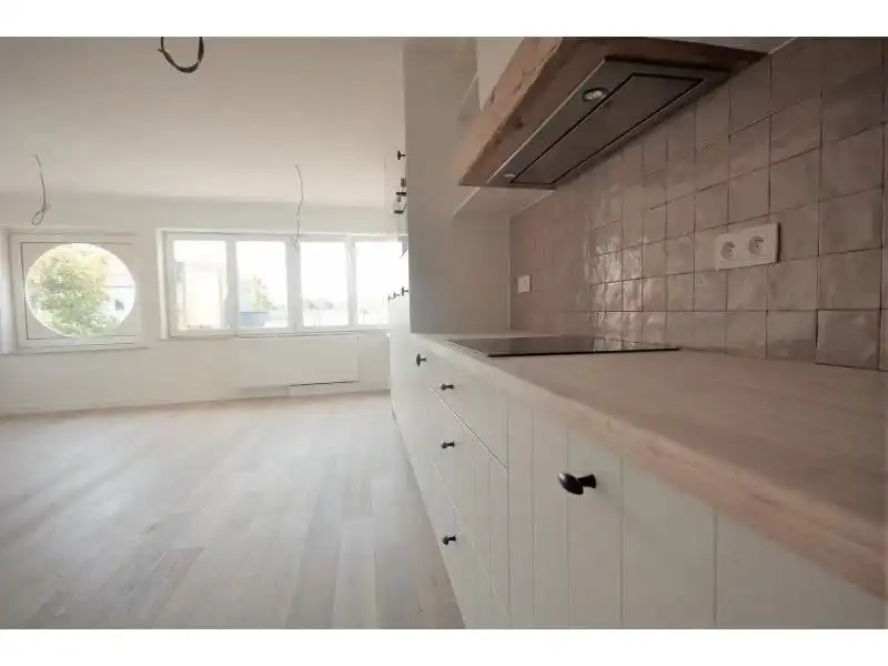 Gerenoveerd éénslaapkamerappartement foto 4
