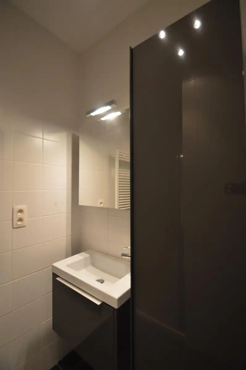 ANTWERPEN - Appartement op het Eilandje foto 12