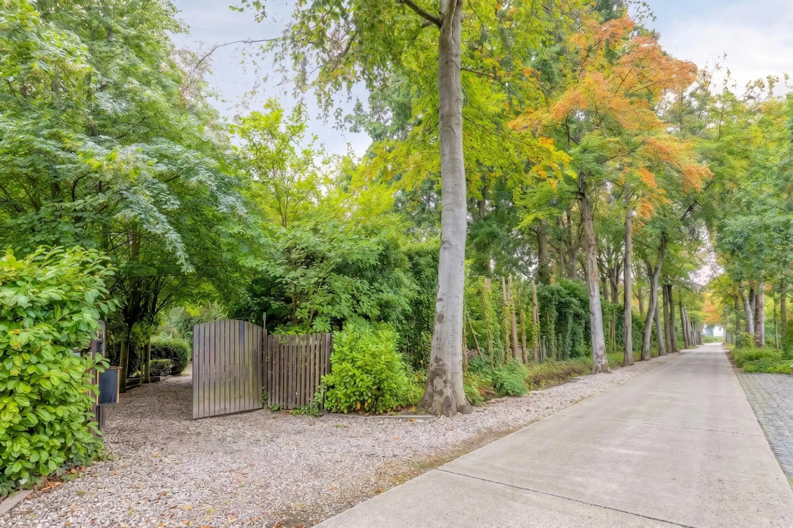 Unieke kans op een riant perceel van 3.180 m² te Aalter! foto 2