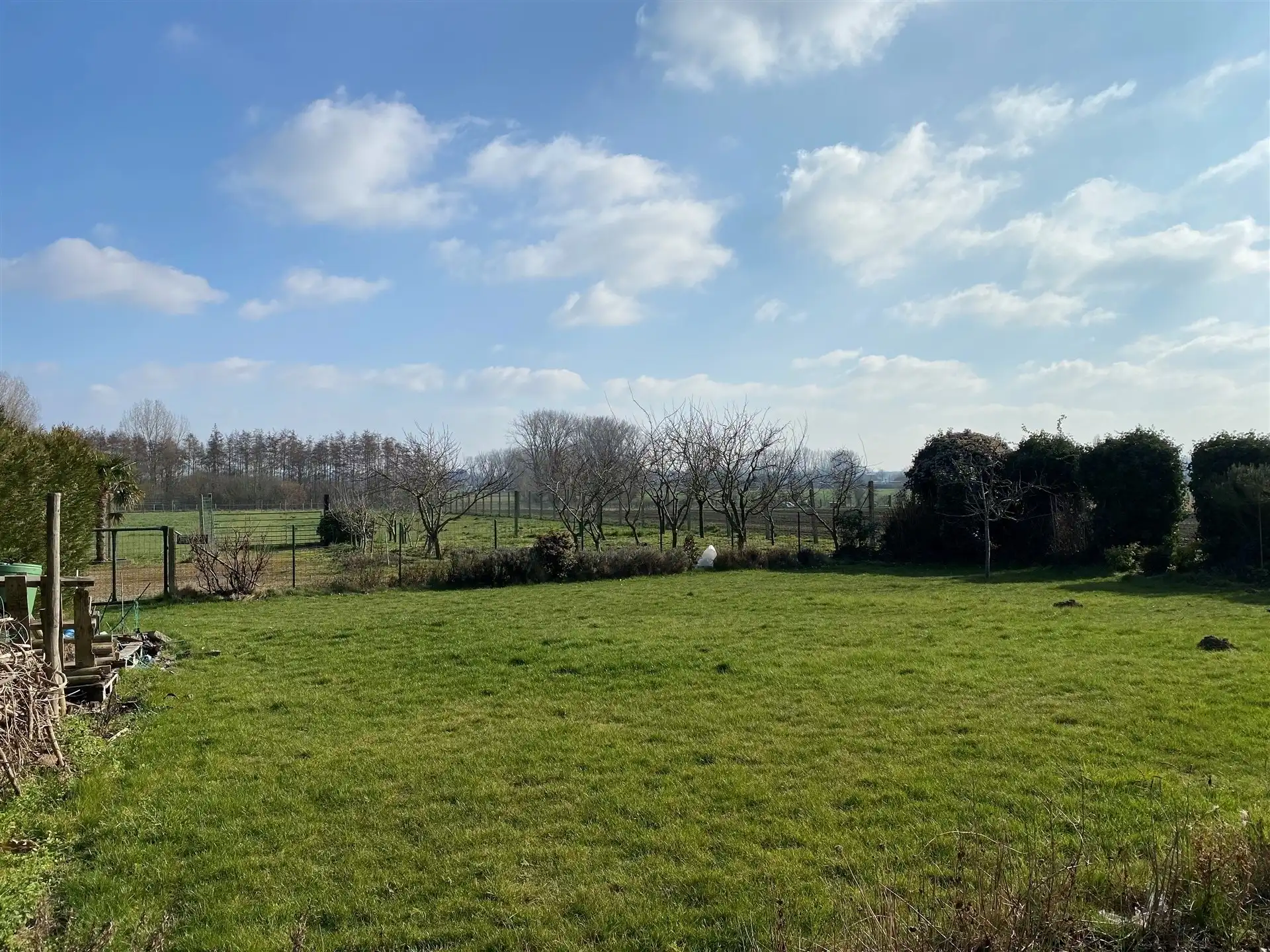 Halfopen woning met 4 slaapkamers en 2 badkamers. foto 11