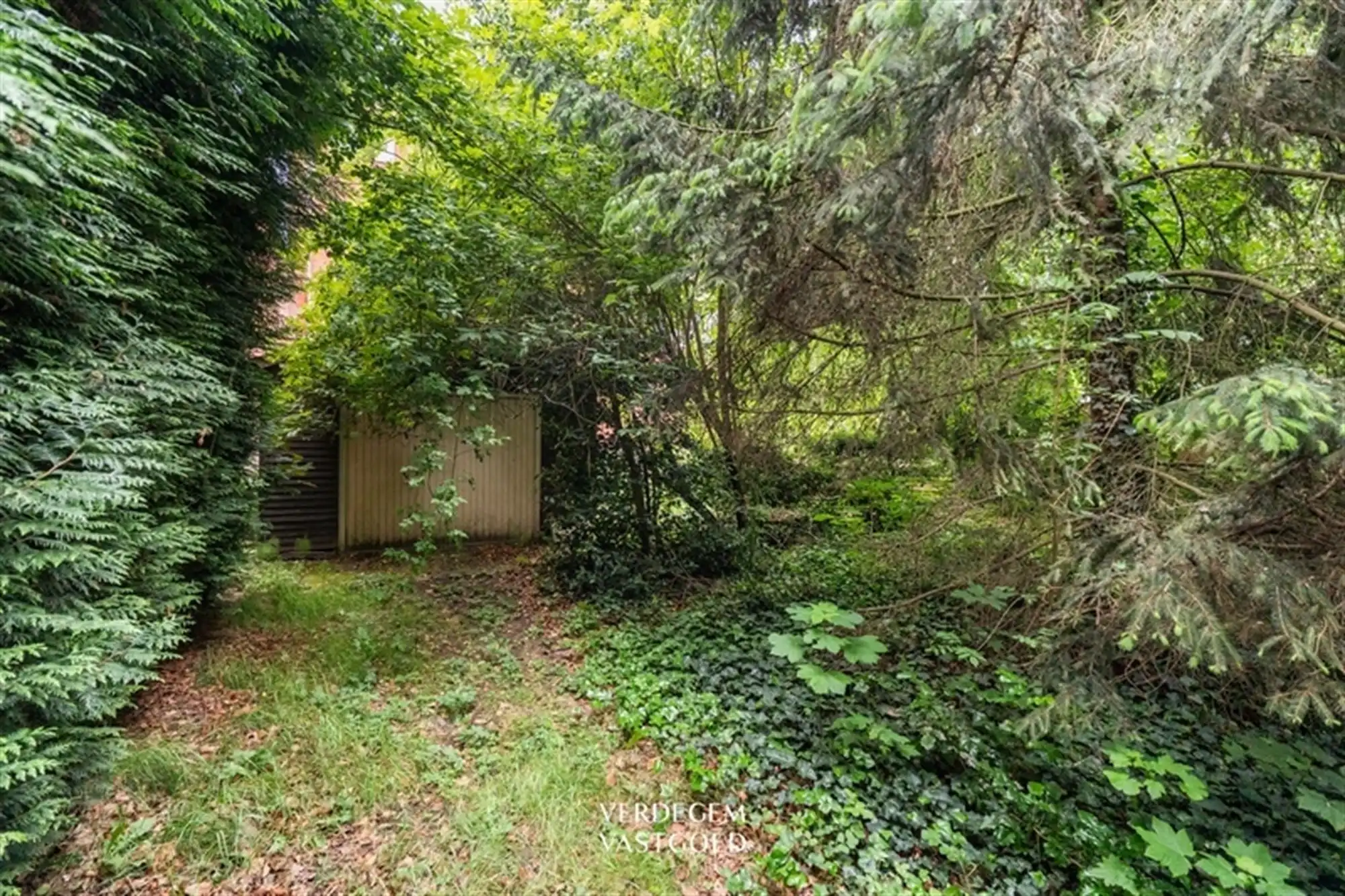 Ruime, te renoveren, woning met bouwgrond op een terrein van 869m² foto 22