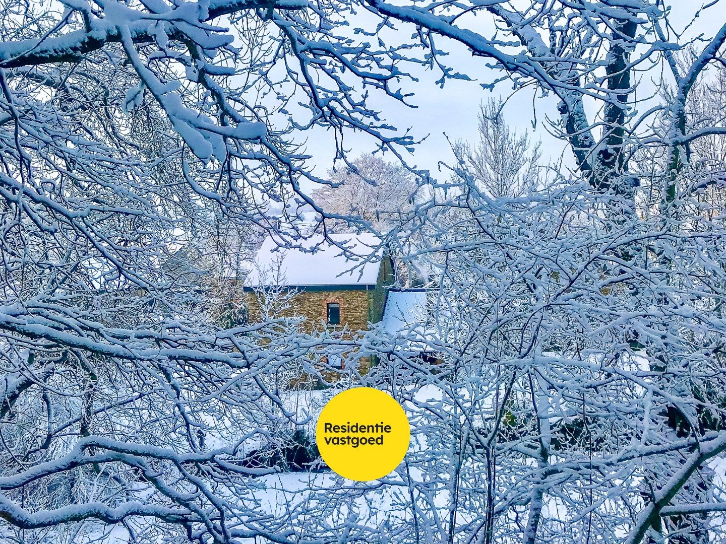 KIJKDAG zaterdag 29/11 van 12u tot 14u, op afspraak! foto 25