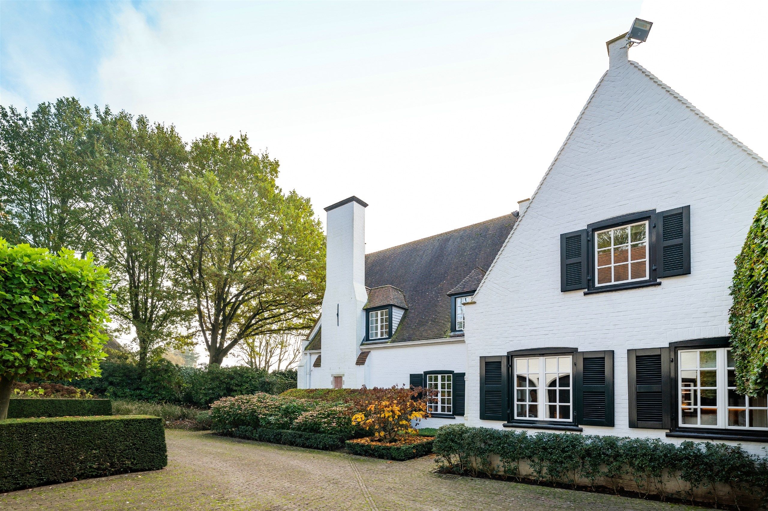 Bellegem bos: uitzonderlijk, waardevol landgoed! foto 5