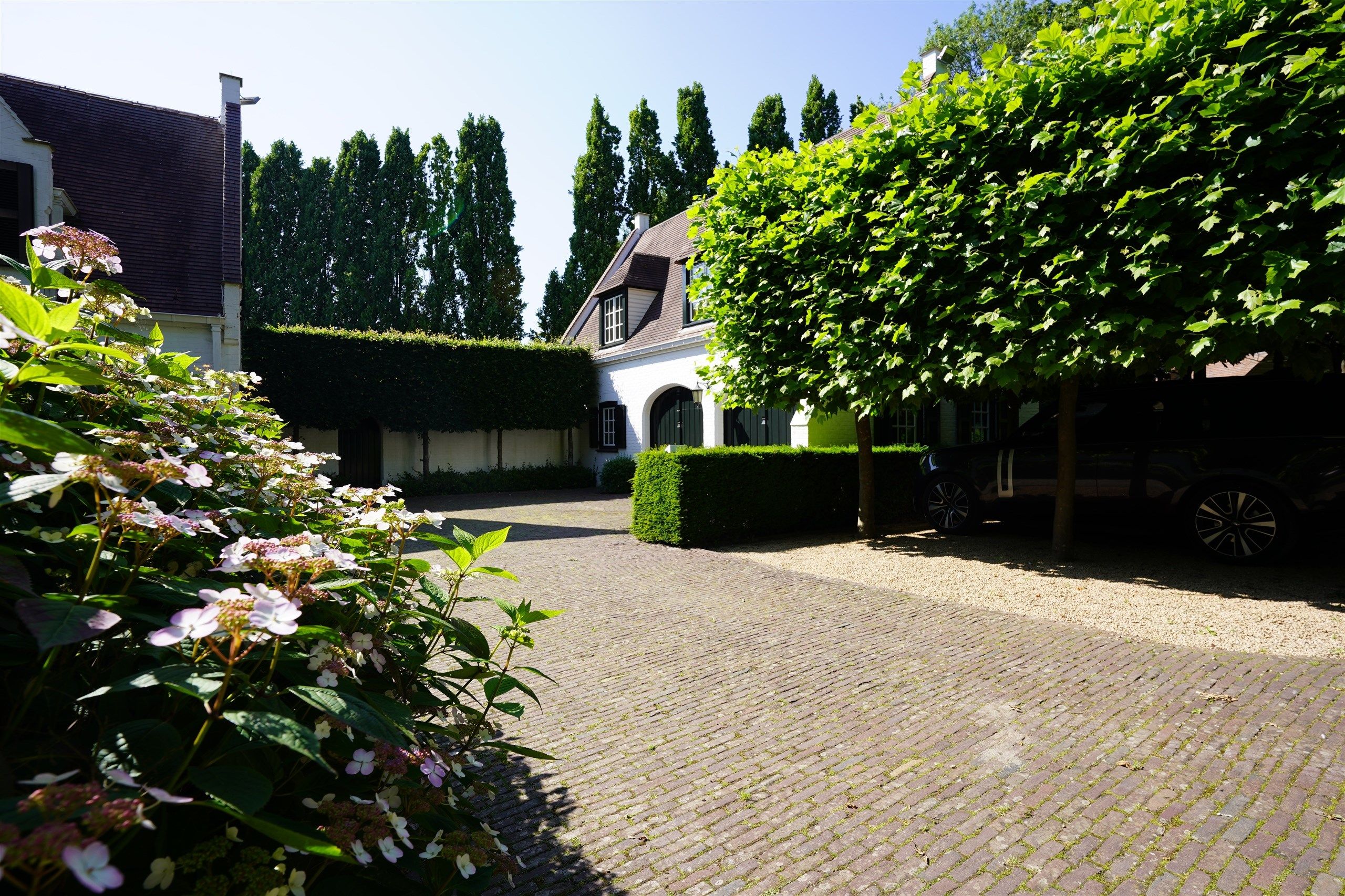 Bellegem bos: uitzonderlijk, waardevol landgoed! foto 5