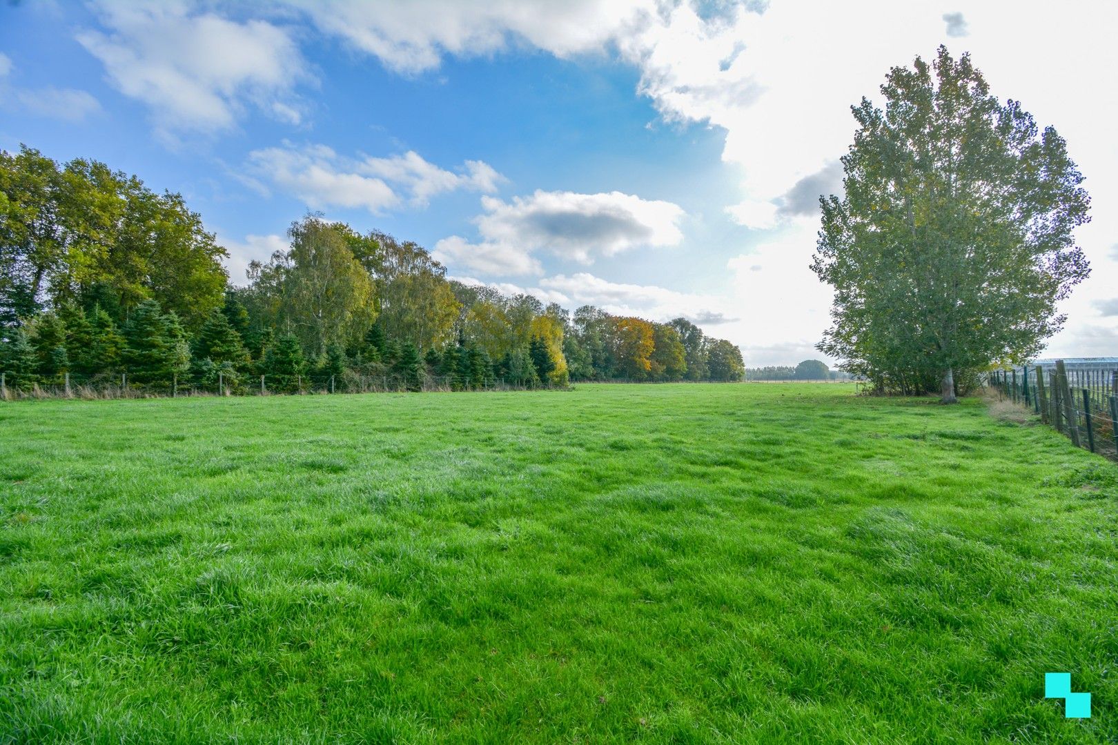 Aantrekkelijke, te renoveren woning op 11.575 m² te Roeselare foto 24