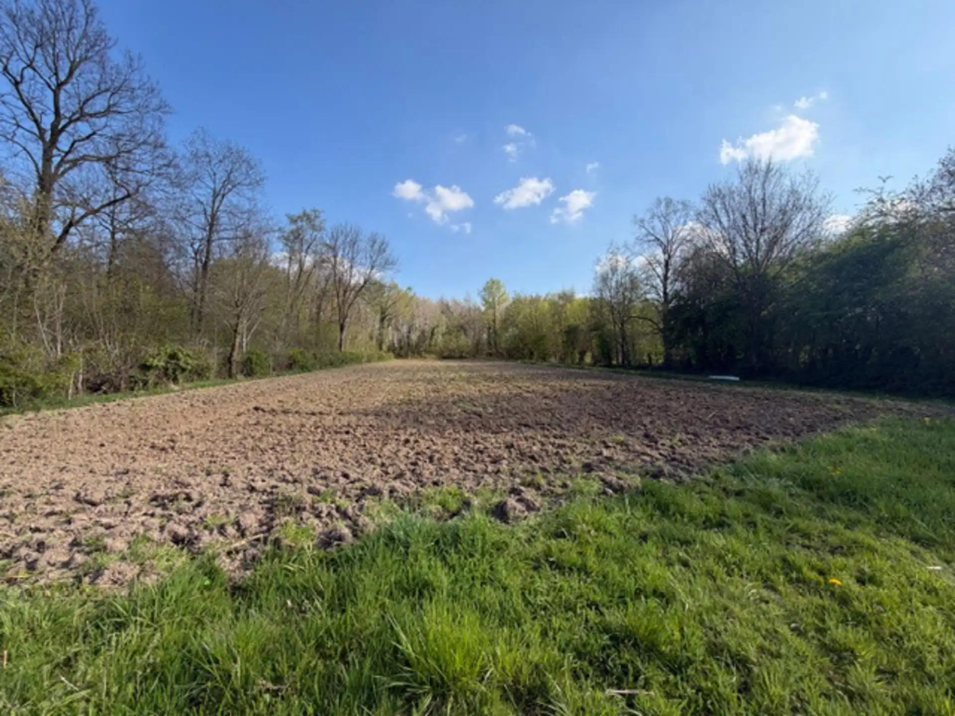  32 are landbouwgrond te Glabbeek foto 2