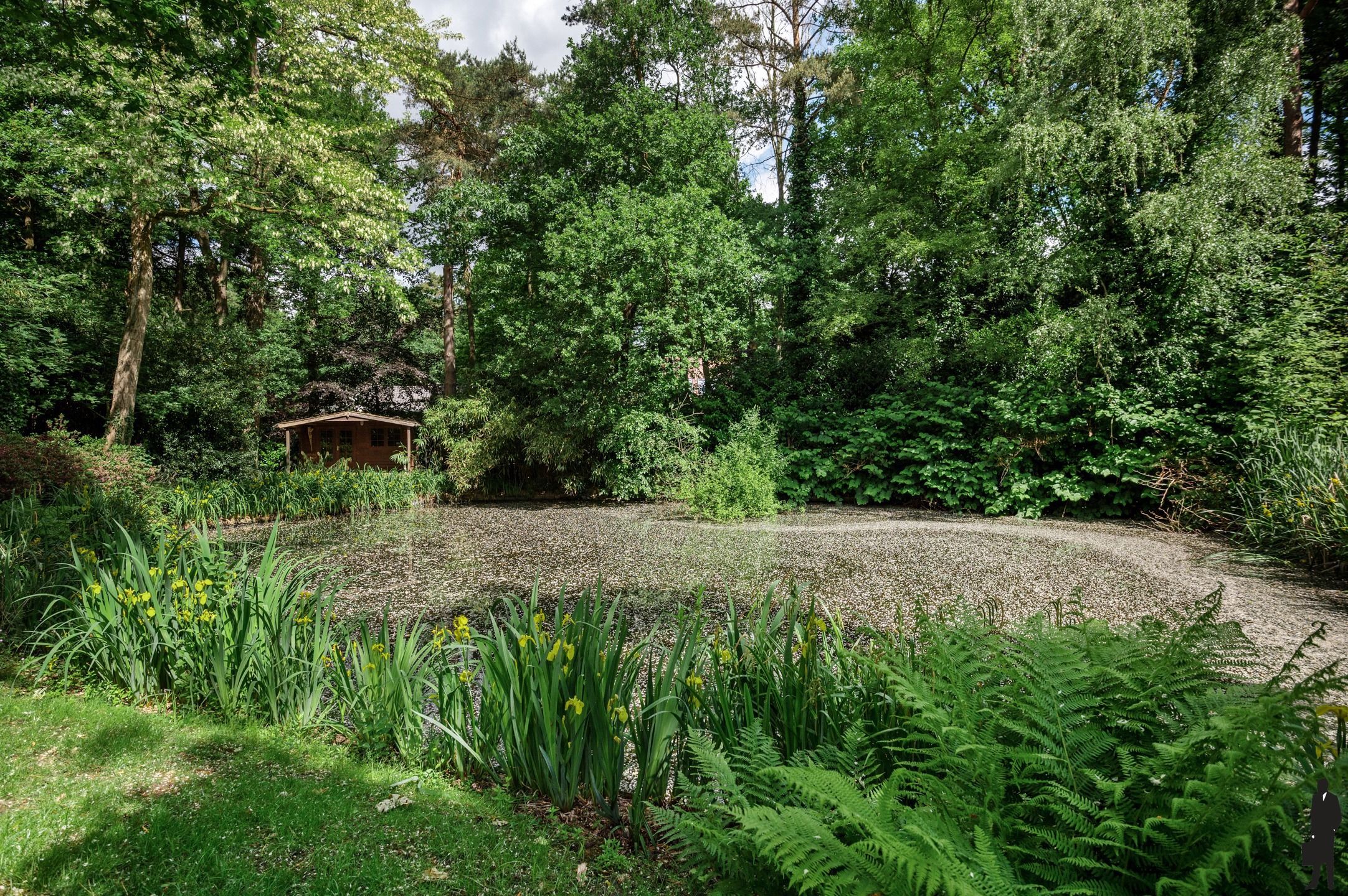 Stijlvol gerenoveerde villa met schitterende tuin en verwarmd zwembad foto 27