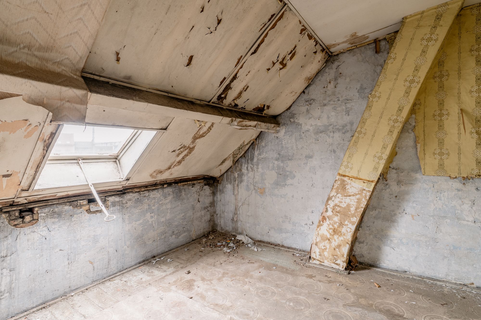 Wrapped in wallpaper: te renoveren of nieuw te bouwen woning in Damtwerpen foto 10