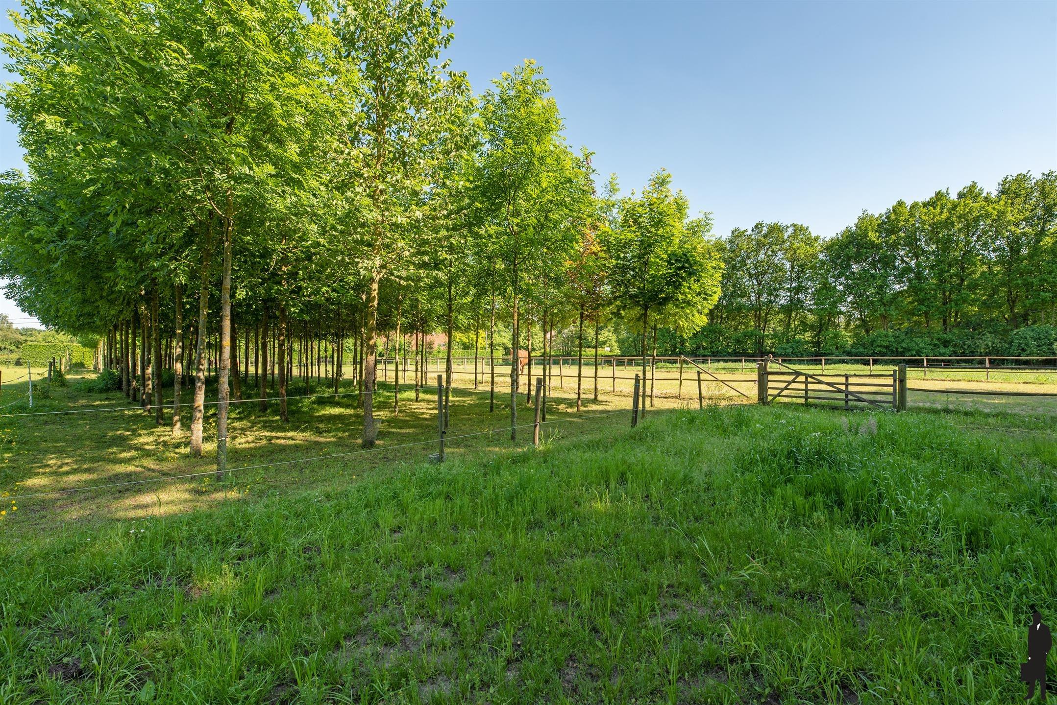 Luxe kangoeroe-villa te Sint-Job met paardenacc. op ca. 1,2 HA! foto 61