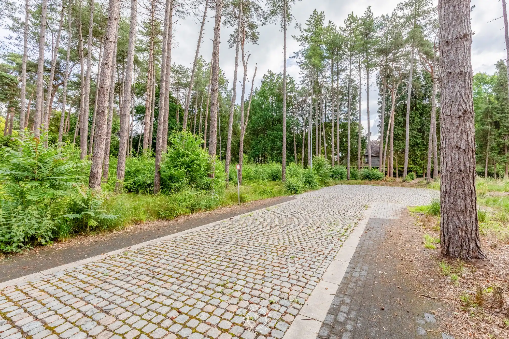 Exclusieve bouwgrond op de Heide in Waasmunster foto 2