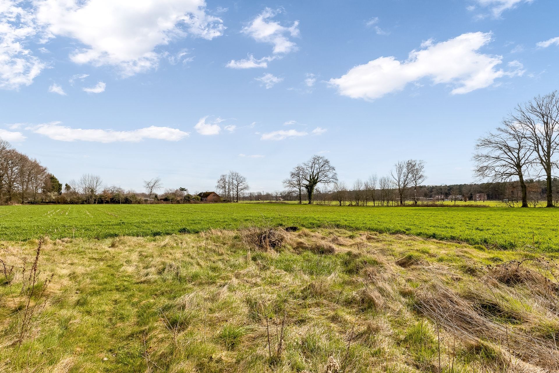 Charmante, volledig te renoveren of herop te bouwen hoeve op een perceel van bijna 2 hectare foto 30