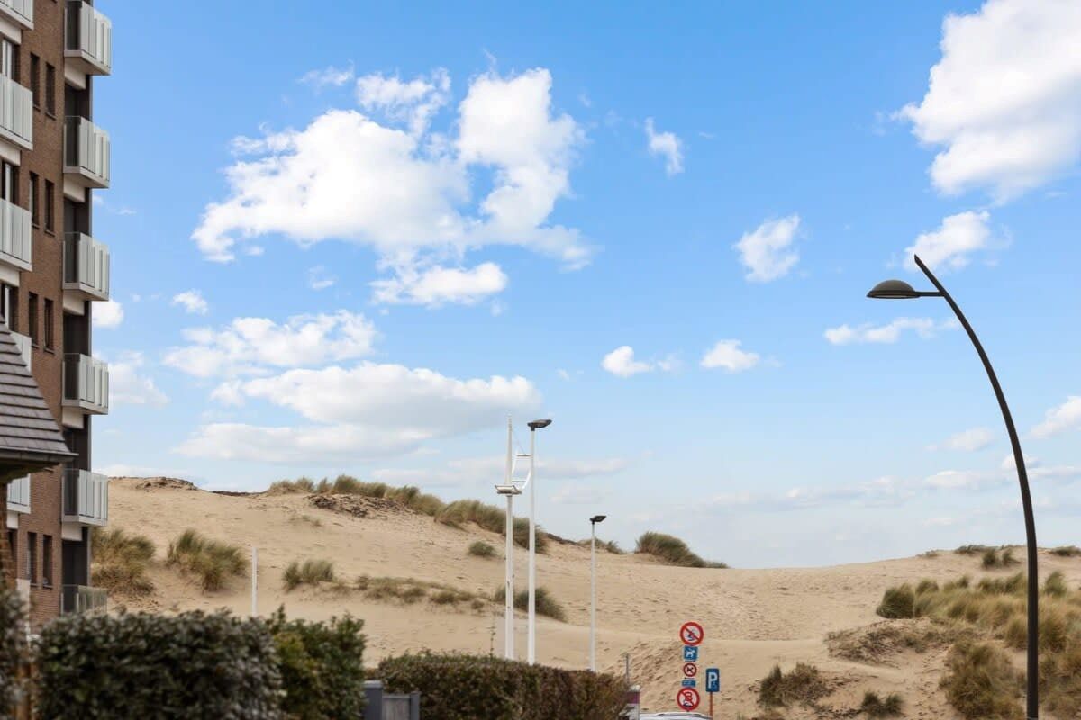 Zongericht 1 slaapkamerappartement op wandelafstand van strand en duinen !   foto 9