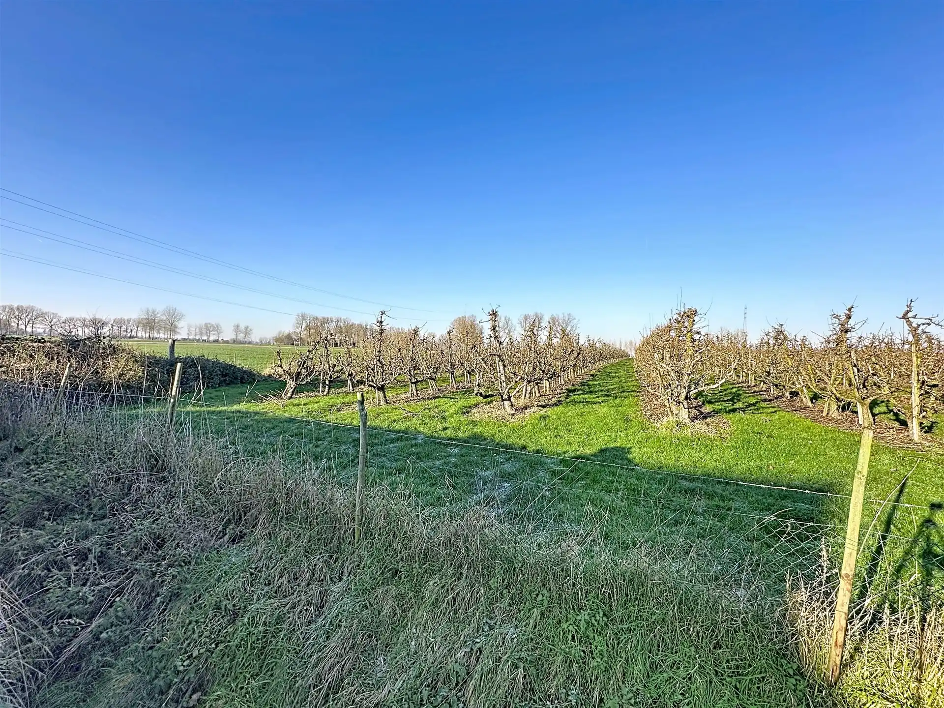 Half open bebouwing met 5 slaapkamers, garage en zicht op groen. foto 5