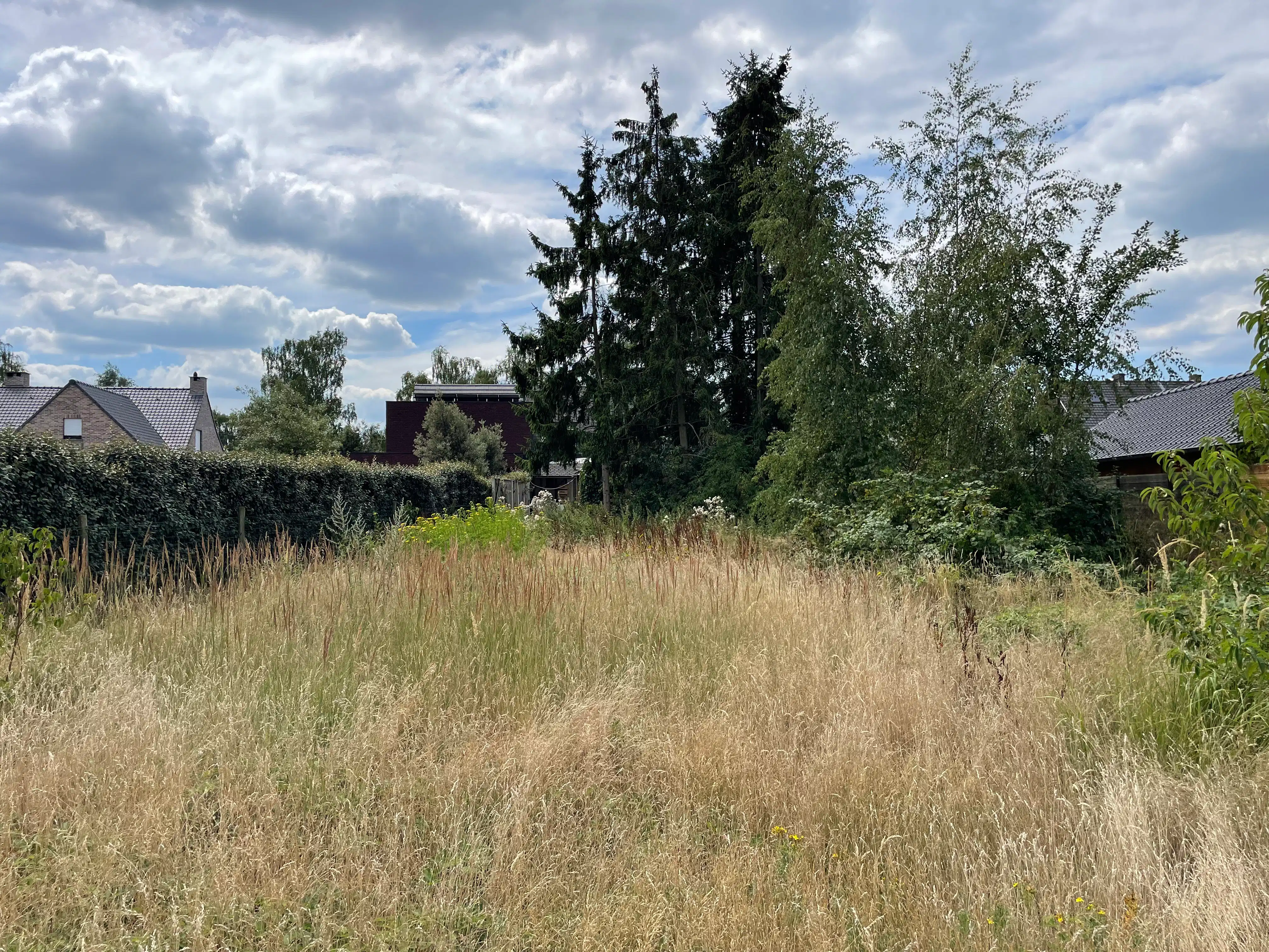 Toplocatie 3 slpks ruime tuin. foto 27