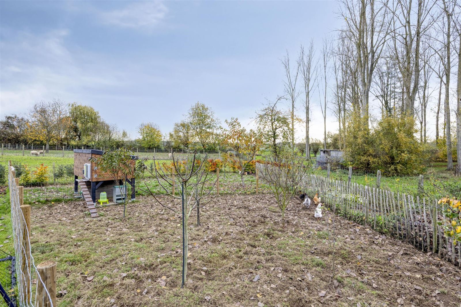 Instapklaar driegevel woning in groene omgeving foto 31