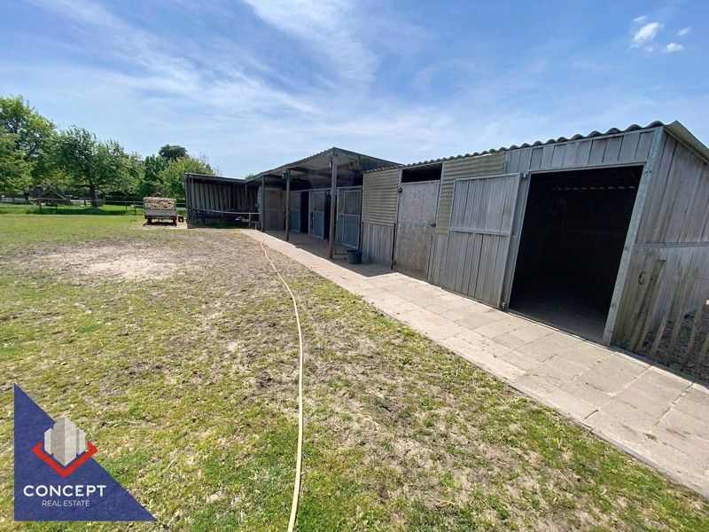 Instapklare woning met 3 slaapkamers met achterliggende paardenweides. foto 39