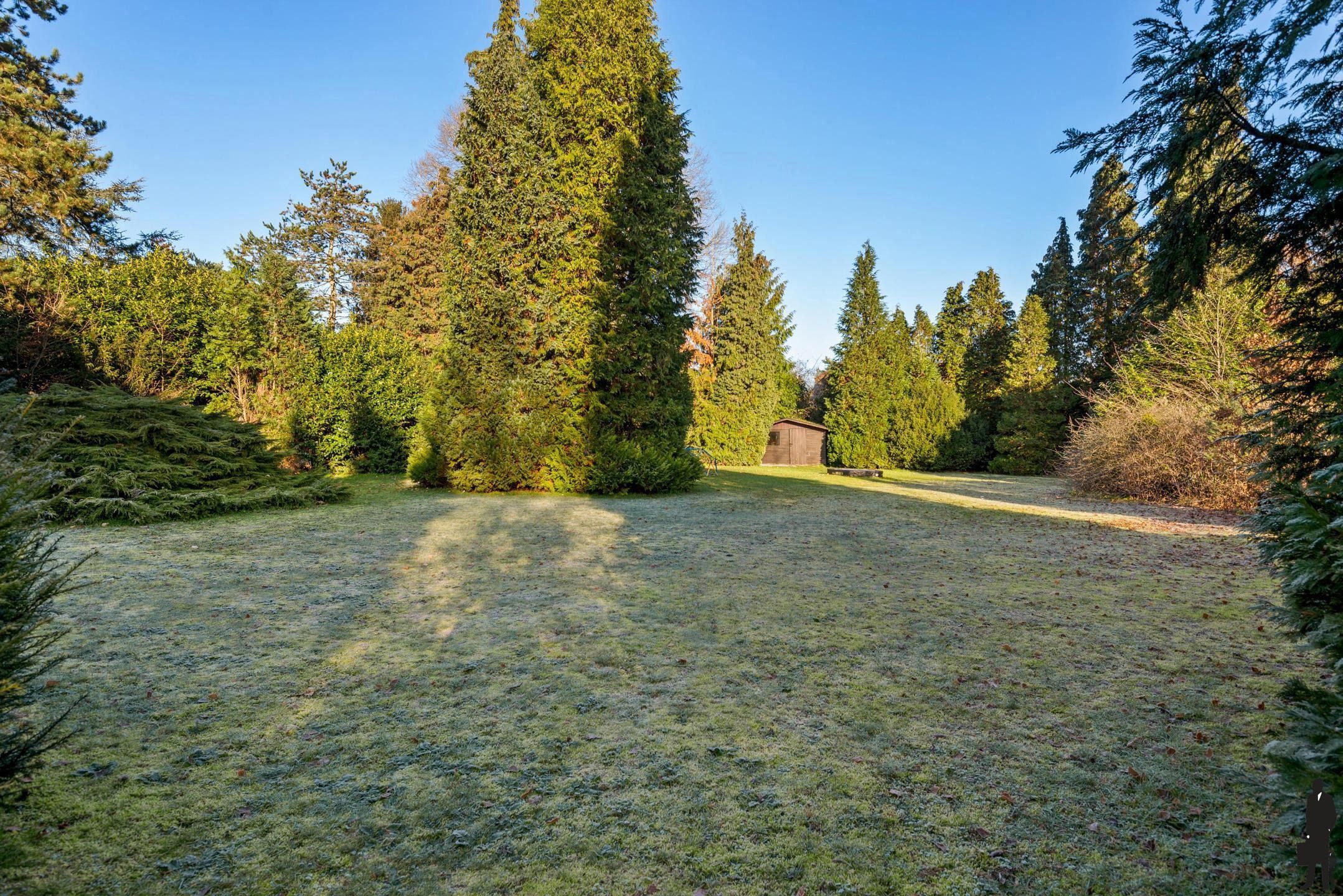 Bouwgrond op een perceel van ca. 2.000m² te Schilde-Bergen. foto 6