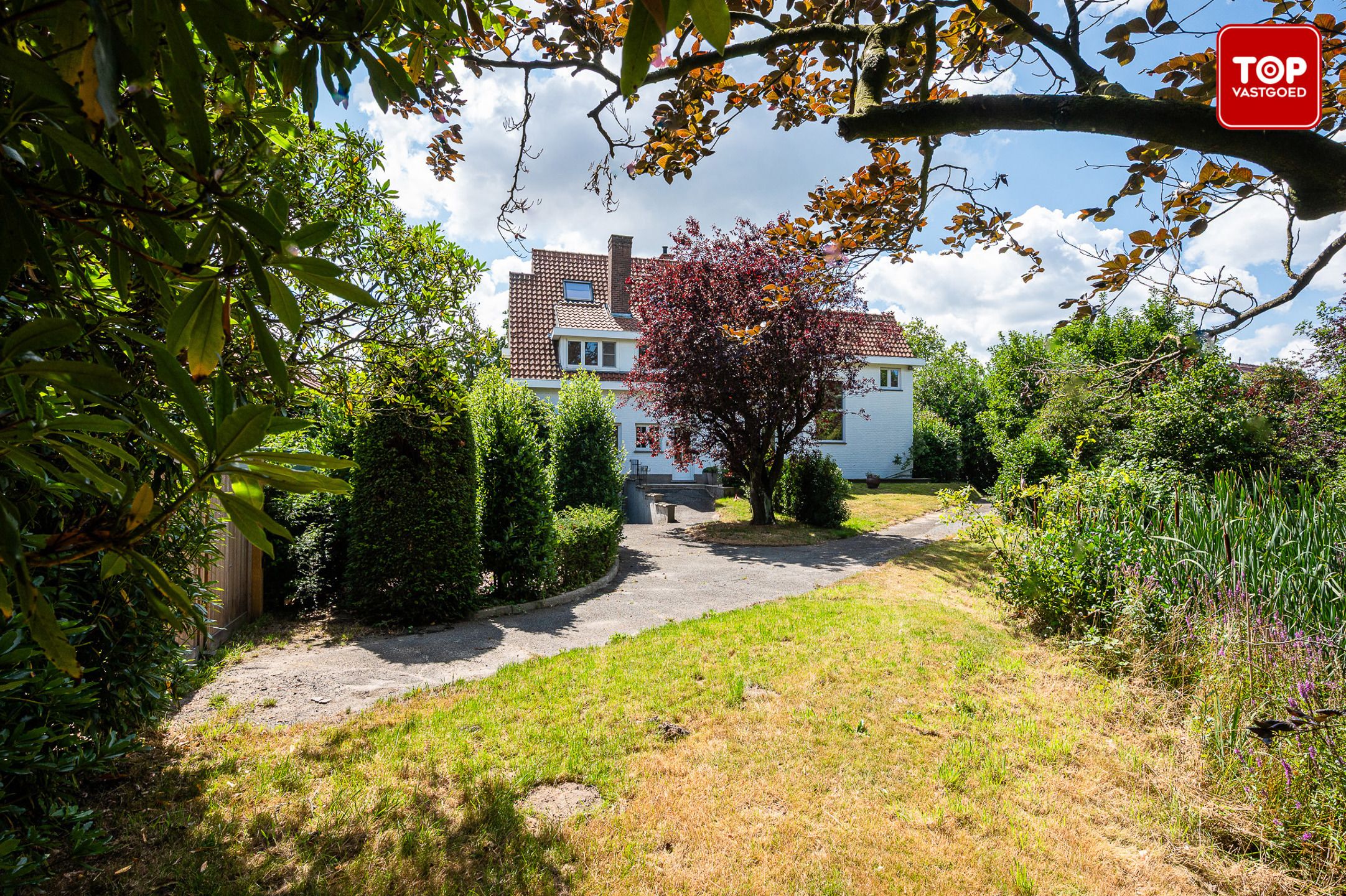 Vernieuwde woning met 4 slaapkamers en gunstige EPC score foto 3