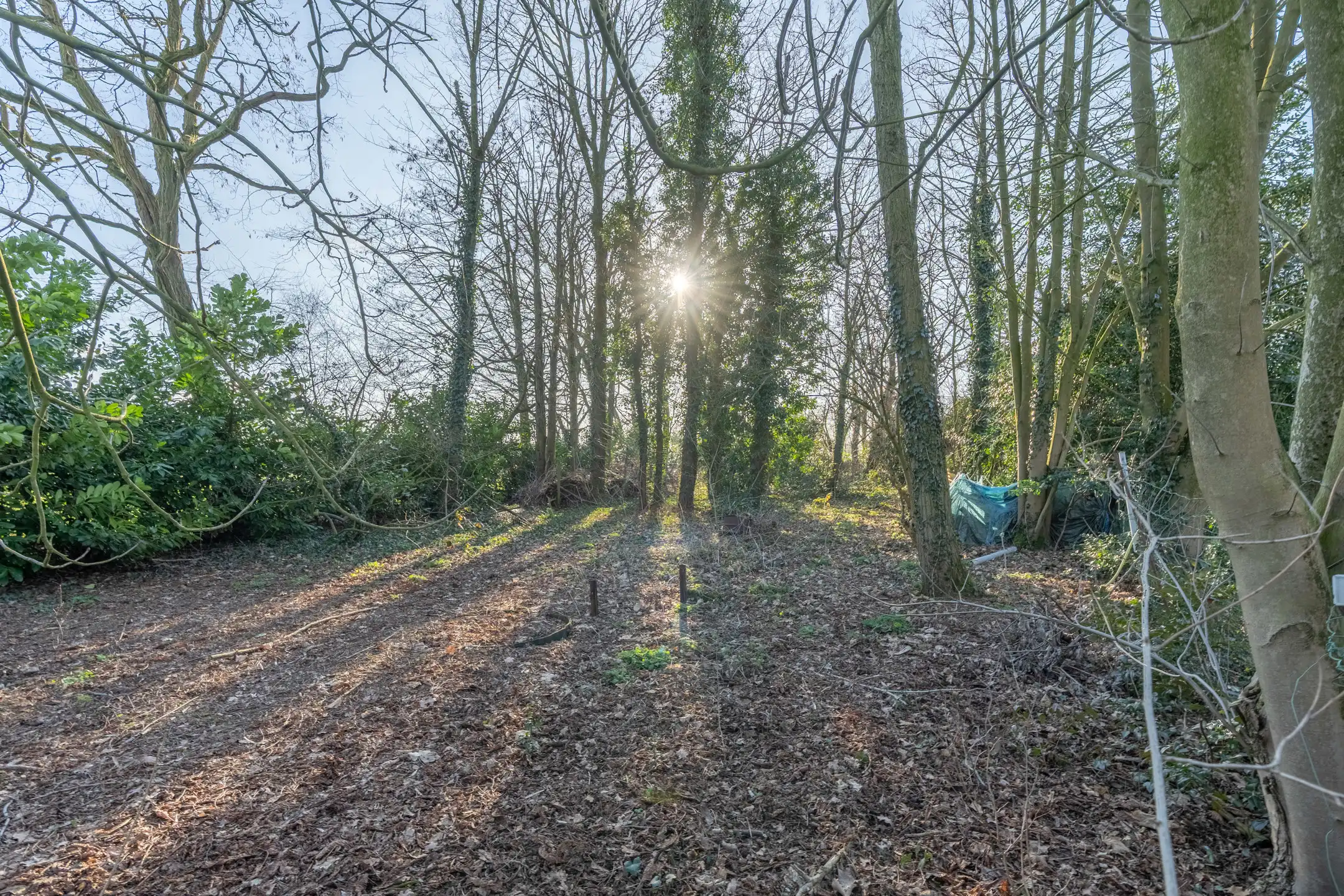 Te renoveren woning met 2 slpks op prachtig perceel van 3.551m² foto 28