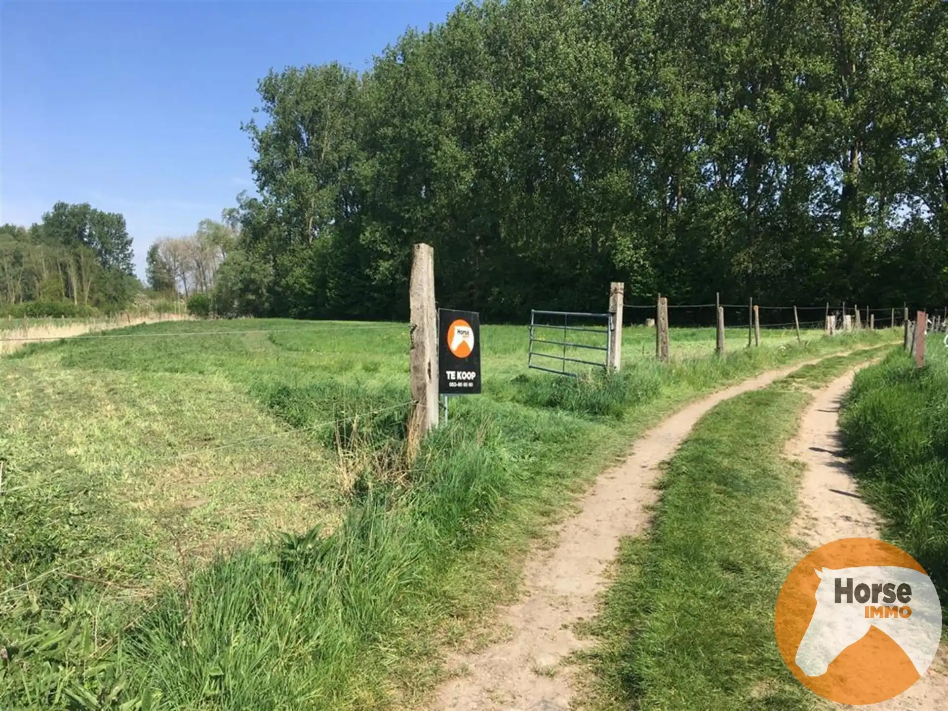 DENDERLEEUW - Weide van 1,6 HA. foto 3