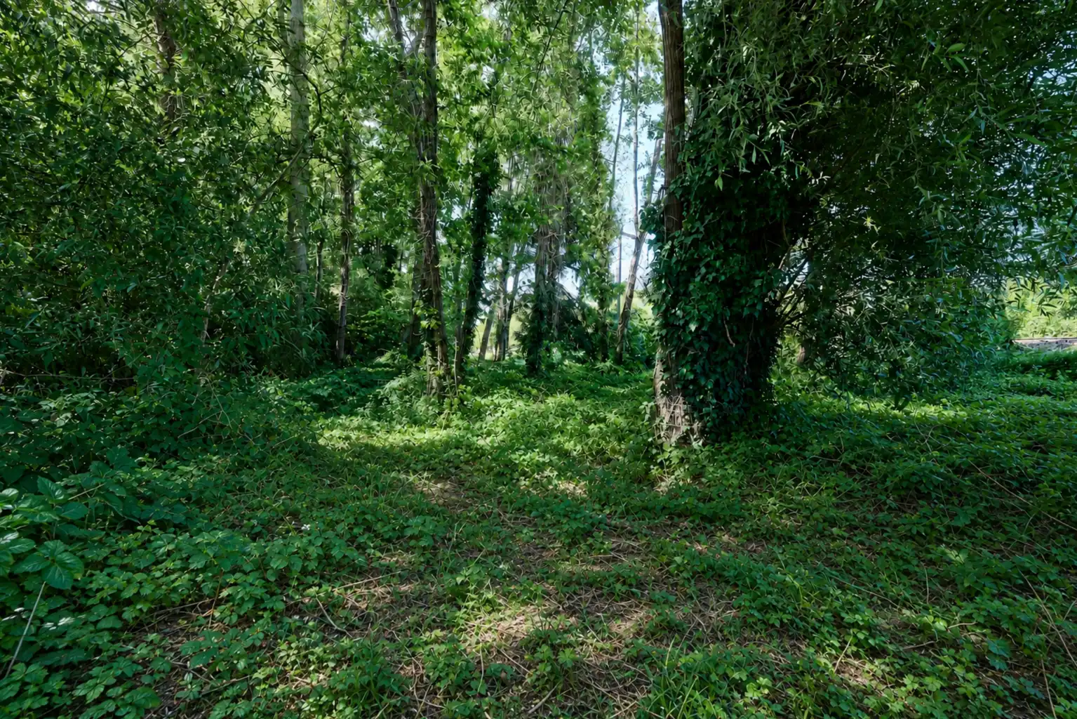 Huis te koop foto 24