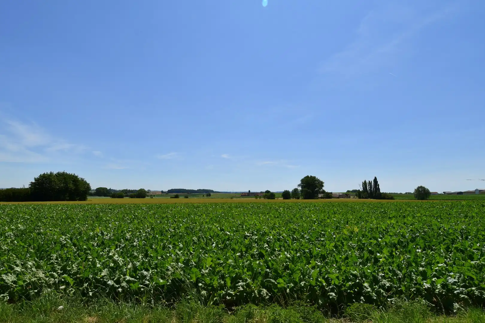 Landelijk wonen mét loods te koop in Bellegem op een perceel van 6.855 m² foto 17