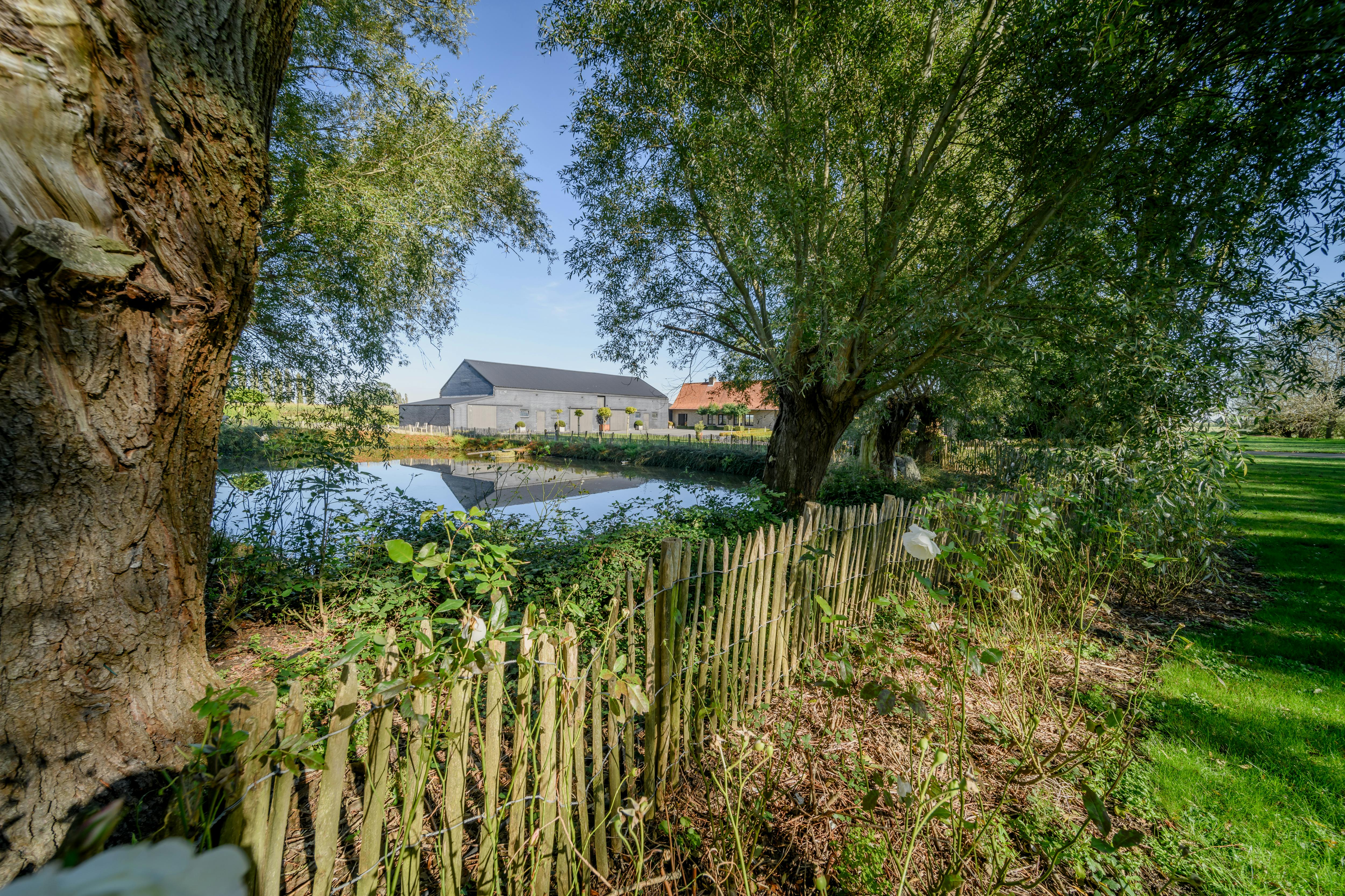 Landelijke eigendom op 9.142m² te koop in Leisele. foto 17