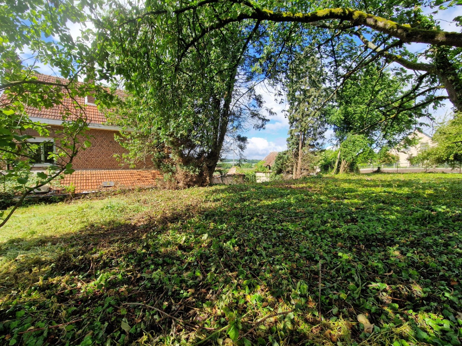 Te renoveren woning op rustige ligging te Bierbeek foto 13