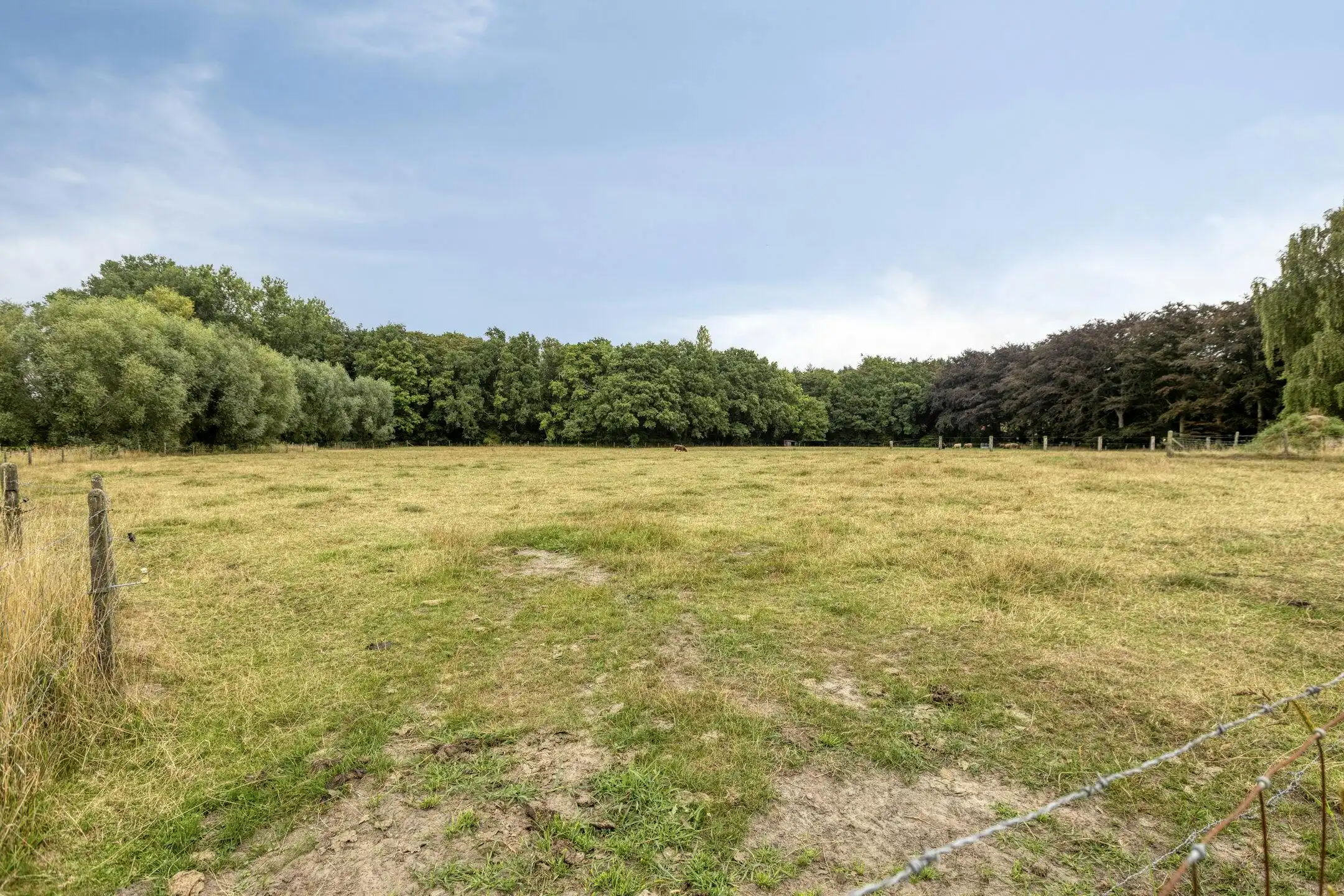 Uniek perceel bouwgrond te koop met zicht op natuurgebied  foto 3