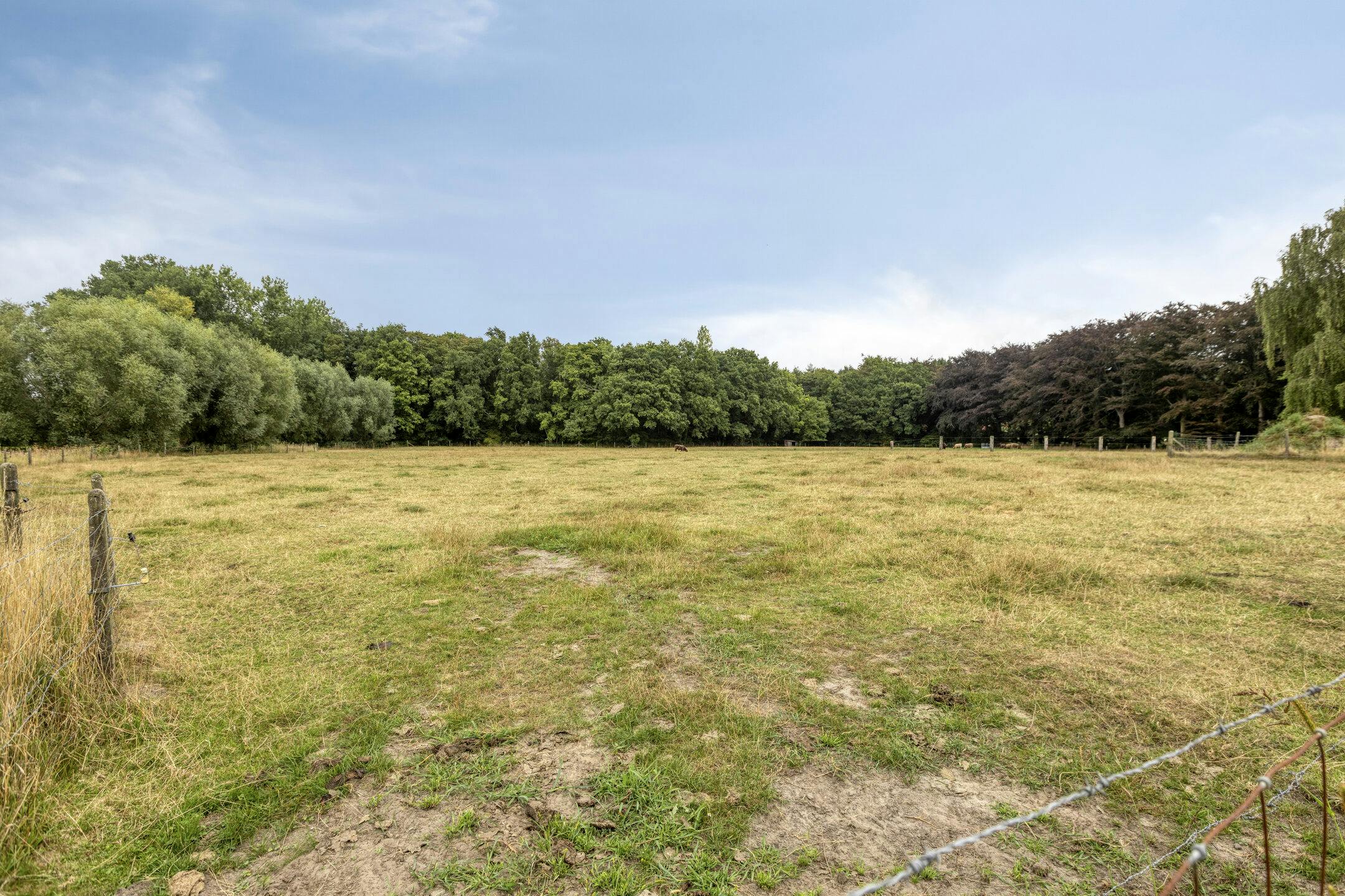 Uniek perceel bouwgrond te koop met zicht op natuurgebied  foto 3