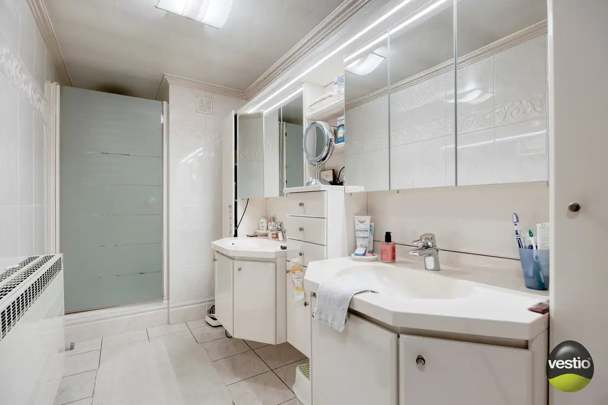ROYALE WONING MET DOKTERSPRAKTIJK TE BILZEN HOESELT. foto 18