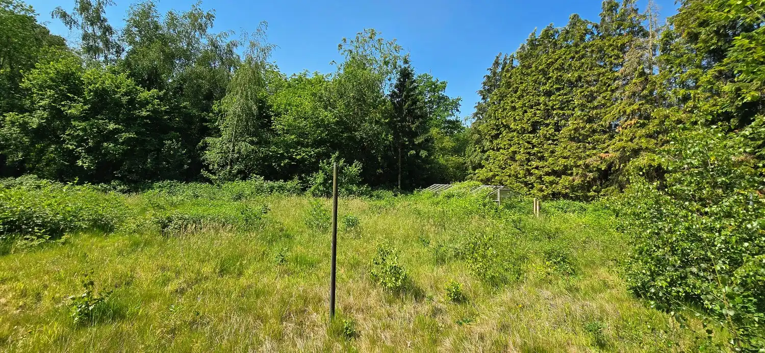 Huis te koop foto 4