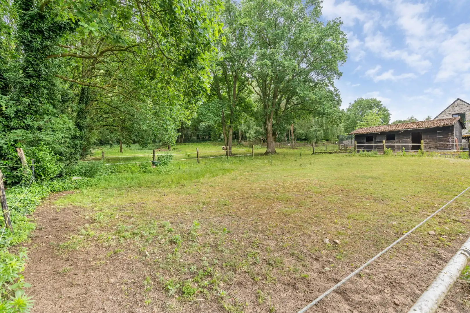 Uniek gelegen woning aan de bosrand op een perceel van 36a67ca waarvan 22a82ca geschikt is als paardenweide! foto 6