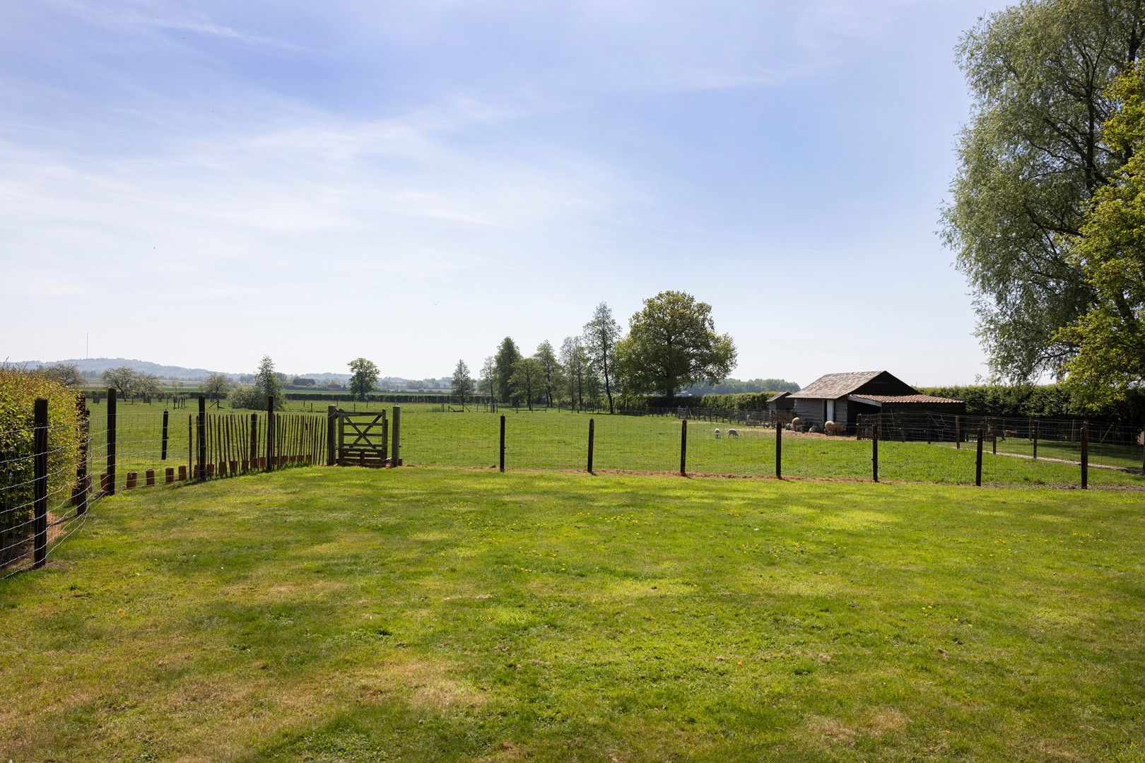 Gerenoveerde hoeve met 5 vakantiewoningen. foto 11