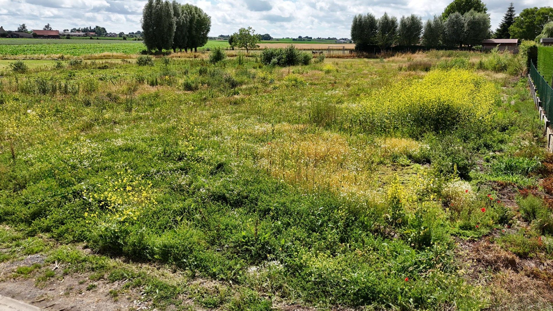 Bouw uw droomwoning in deze landelijke omgeving! foto {{pictureIndex}}