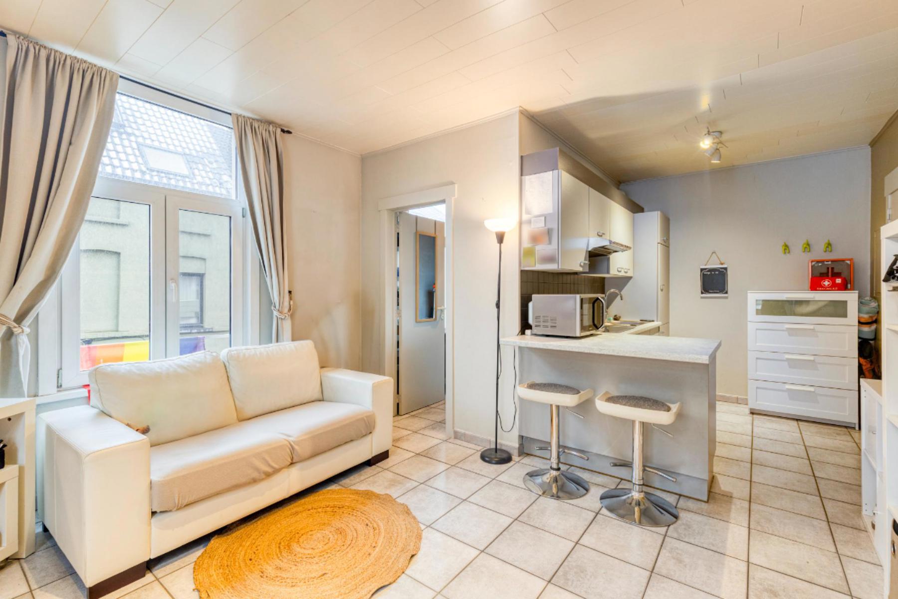 Instapklaar appartement/studio nabij Gent-Zuid foto 4