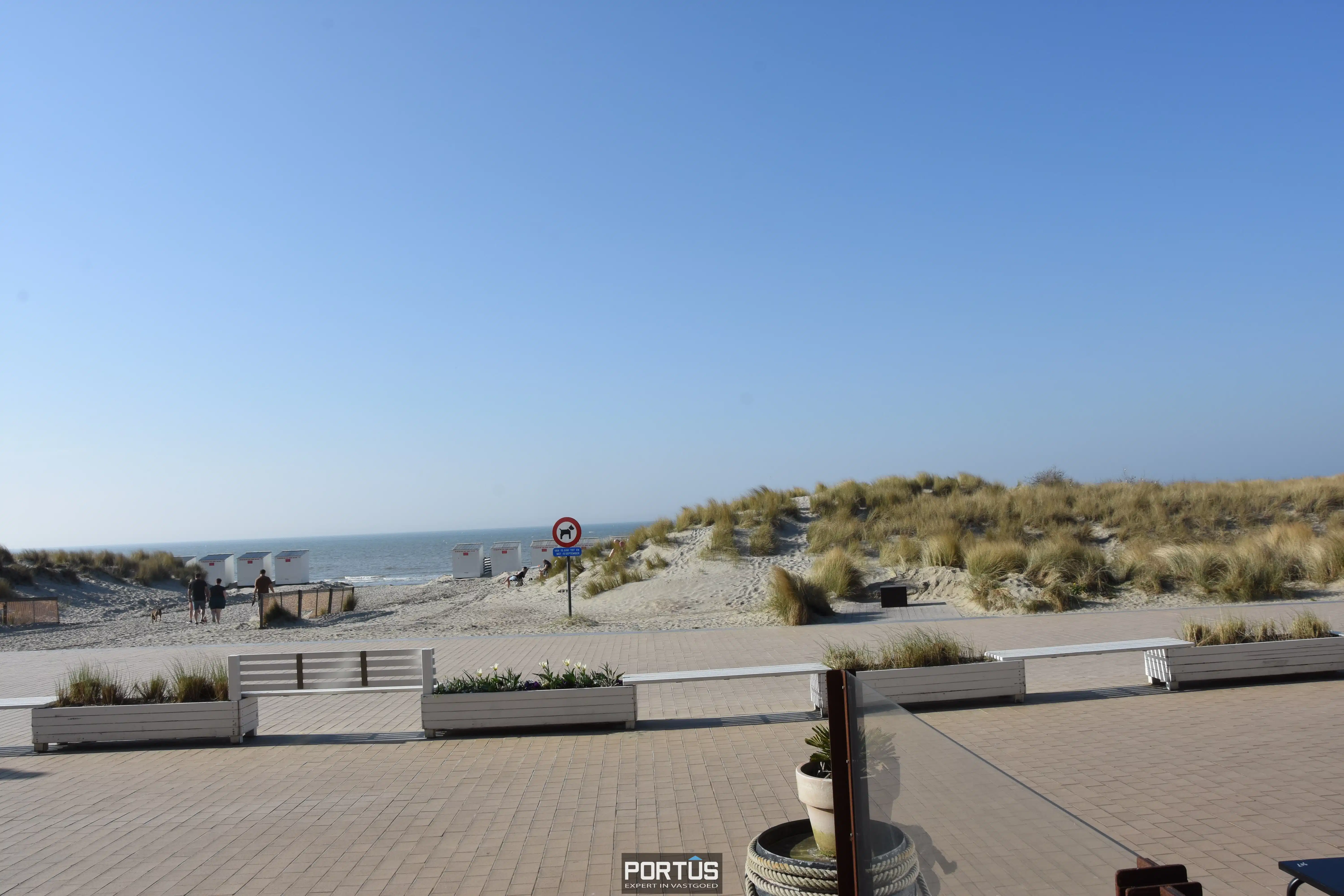 Handelsgelijkvloers te huur Zeedijk Nieuwpoort foto 8