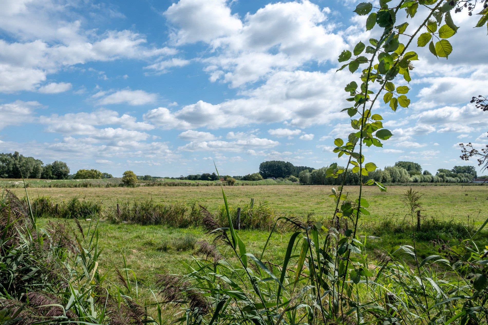 Knap huis, rustig gelegen woning te Damme foto {{pictureIndex}}
