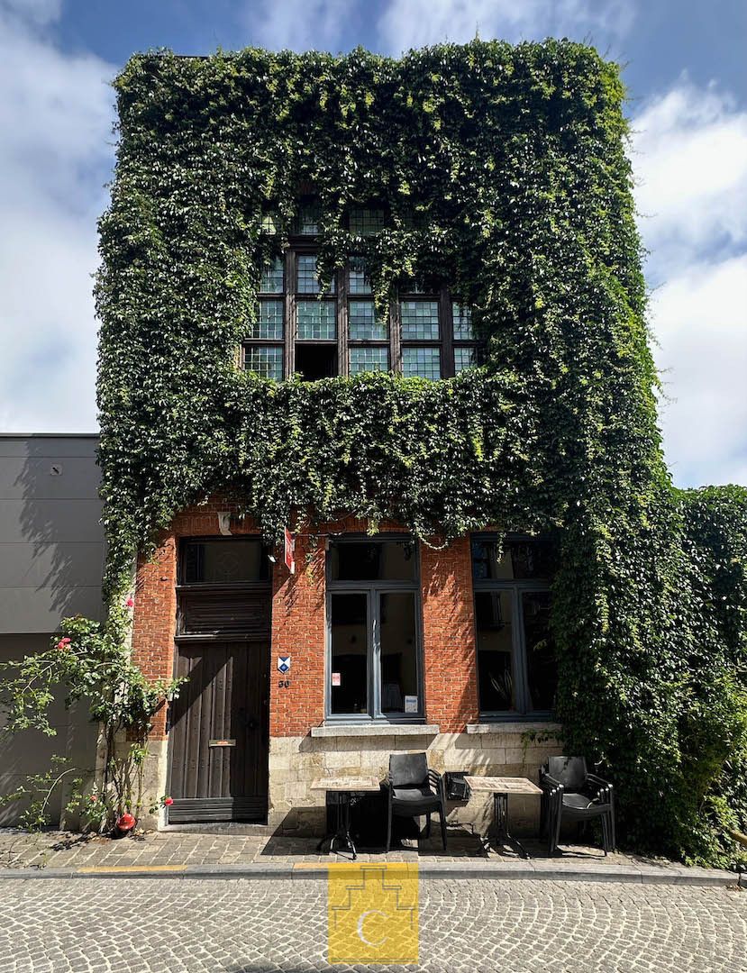 Huis Flori Van Acker, woon- en handelshuis met historisch cachet, groot en zonnig terras met subiem zicht op Sint-Salvatorskathedraal foto 4