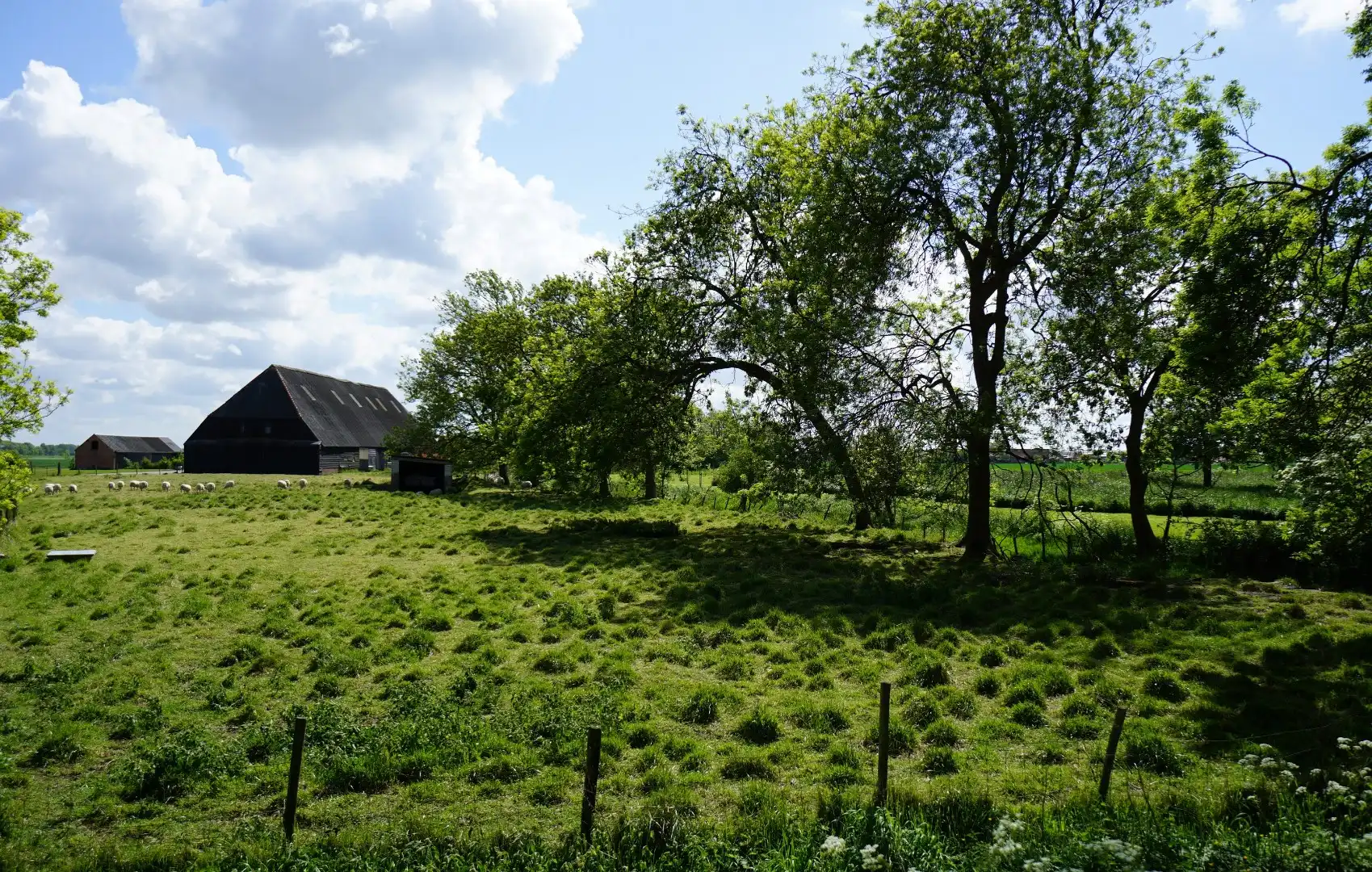 Exclusieve Bouwkavel met Architectonisch Ontwerp – Platteweg, Ter Hofstede foto 5